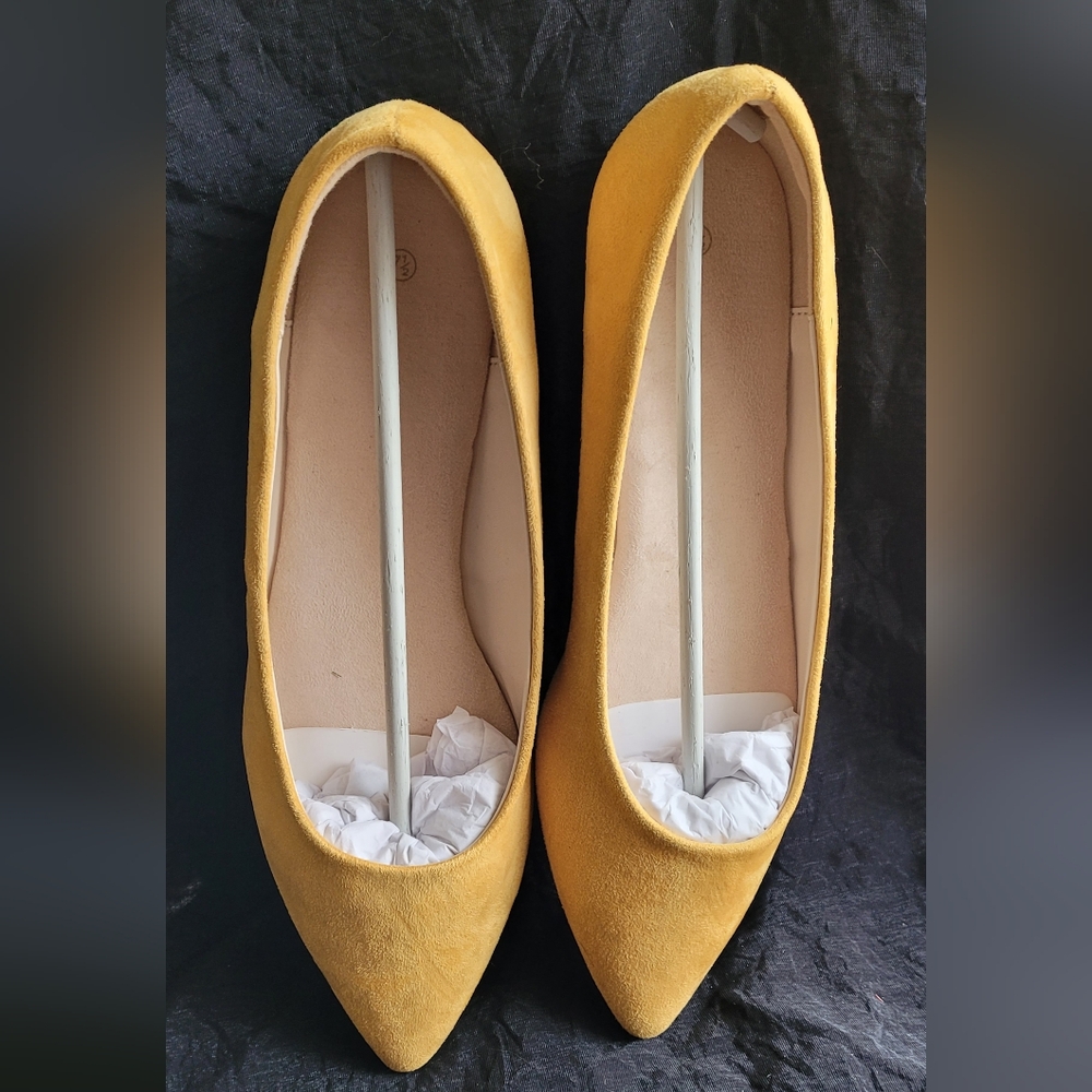 Pointy Toe Ballet Flats